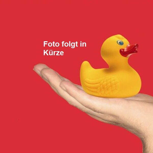 Ente_Hand – Kopie