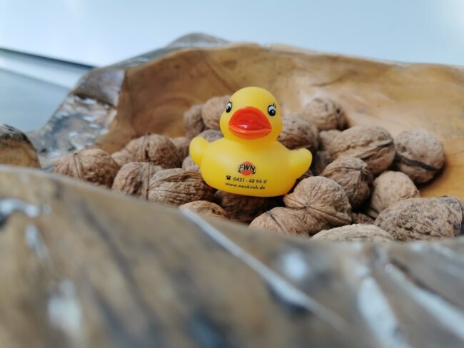 IMG_20210922_155637 Walnüsse Ente