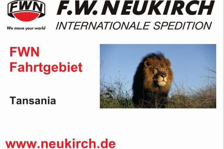 FahrgebietTansania_Löwe