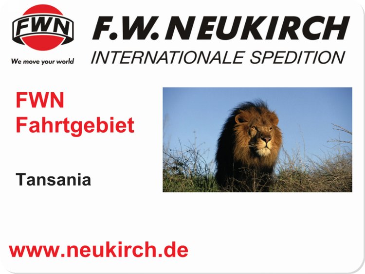 FahrgebietTansania_Löwe FahrgebietTansania_Löwe