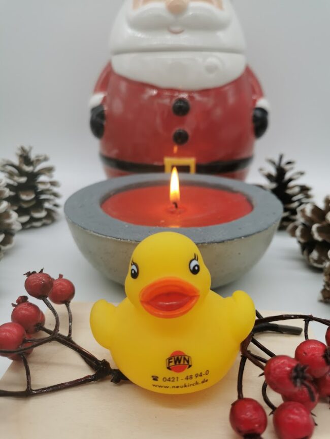 FWN Ente Kerzenlicht