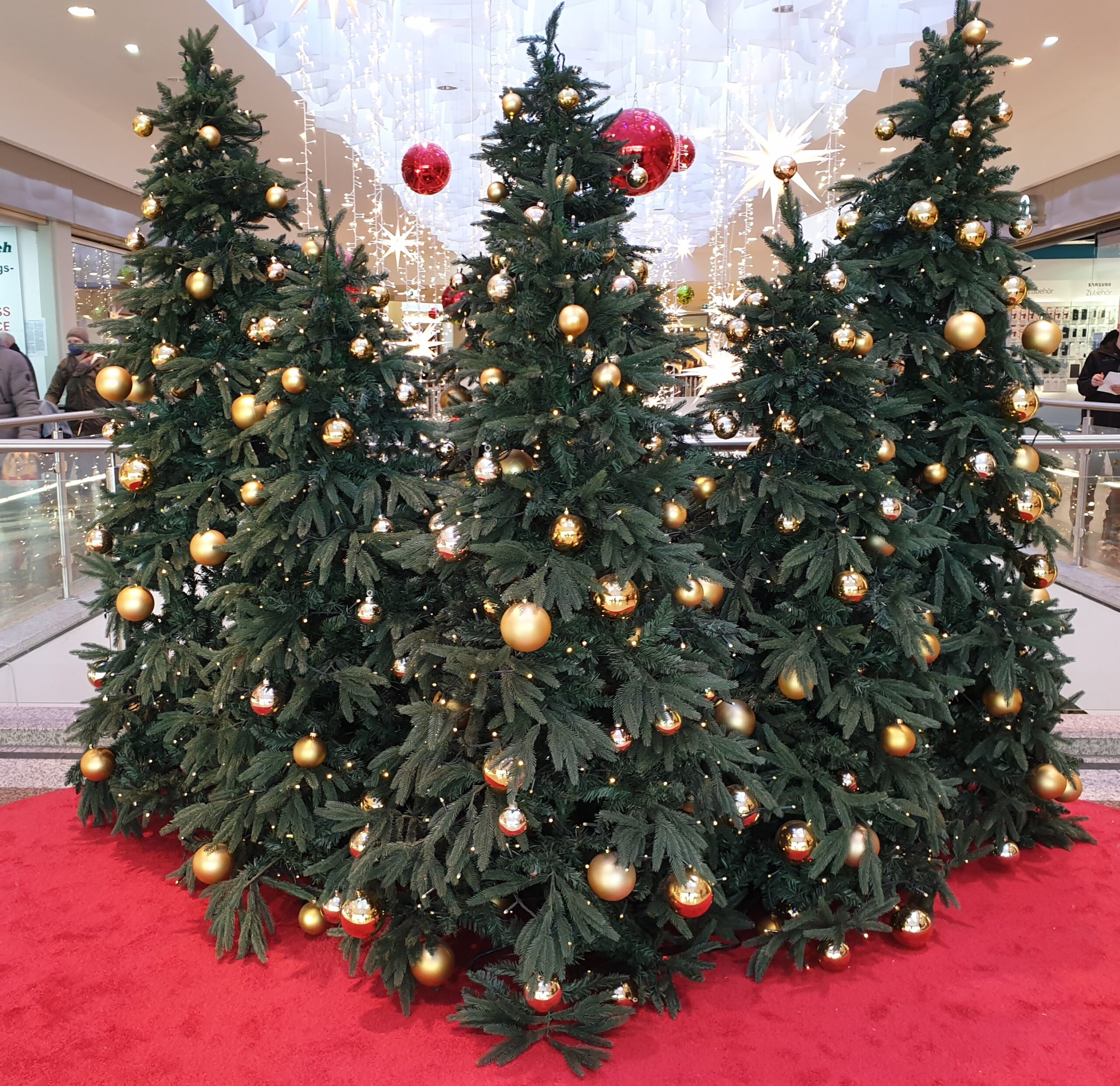 Weihnachtsbaum Weserpark